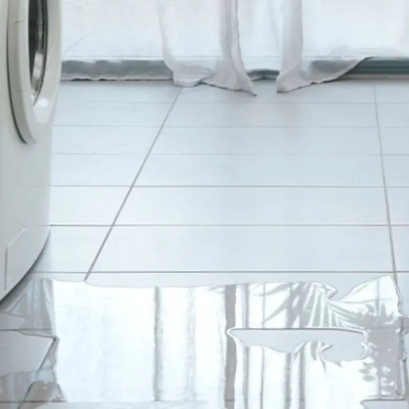 Appliance Leak Cleanup in Port Arthur, TX